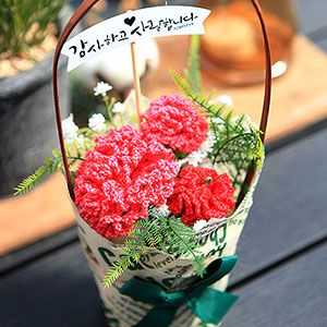 기자 카네이션 바구니