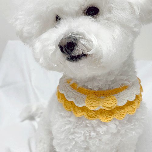 로미오 뿌숑 케이프