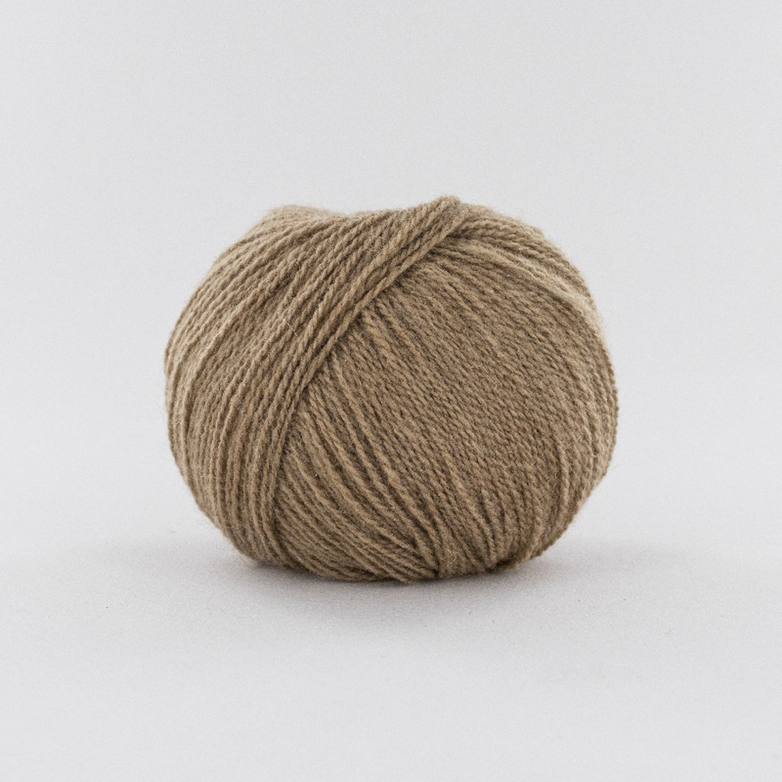 CAMEL GOBI 2
