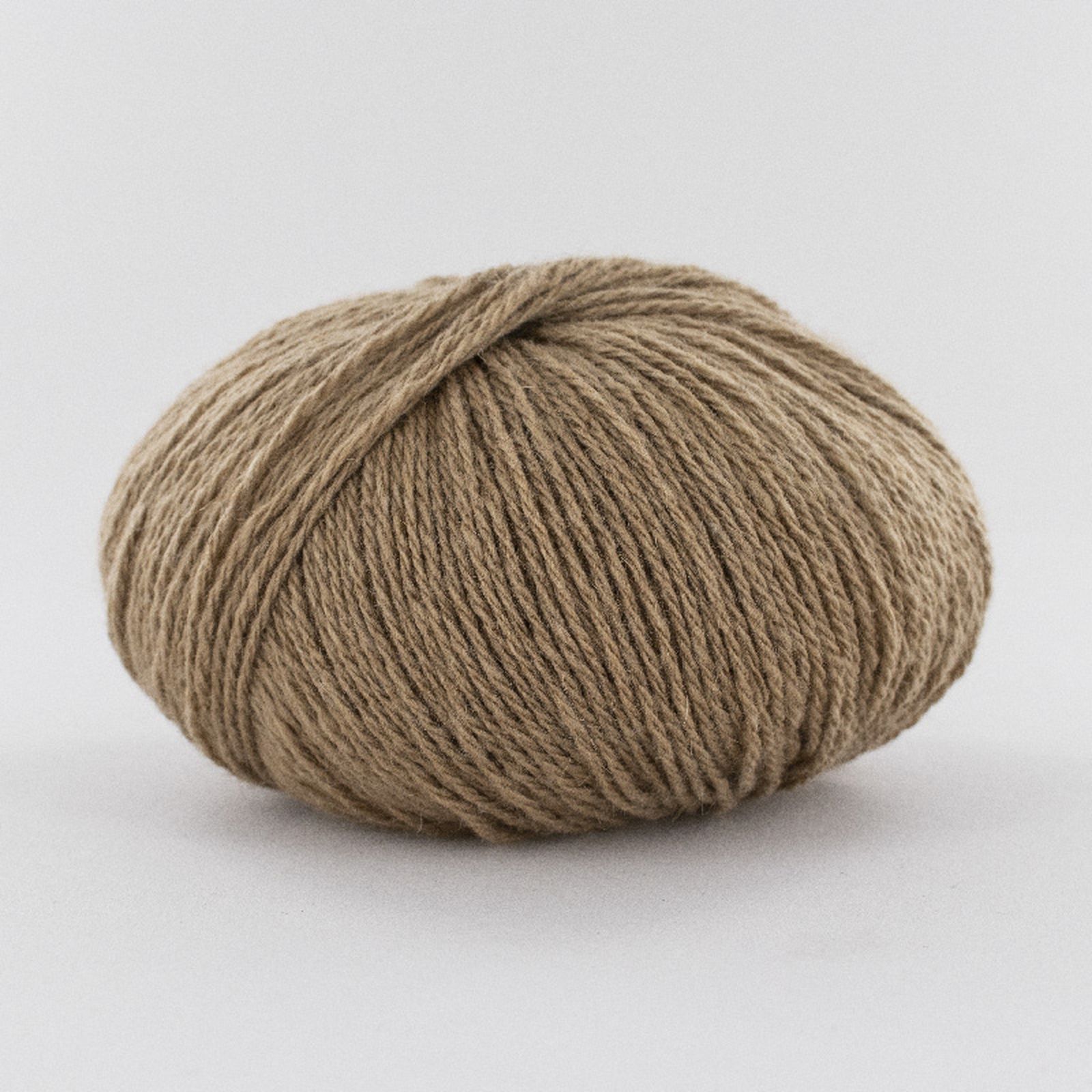 CAMEL GOBI 3
