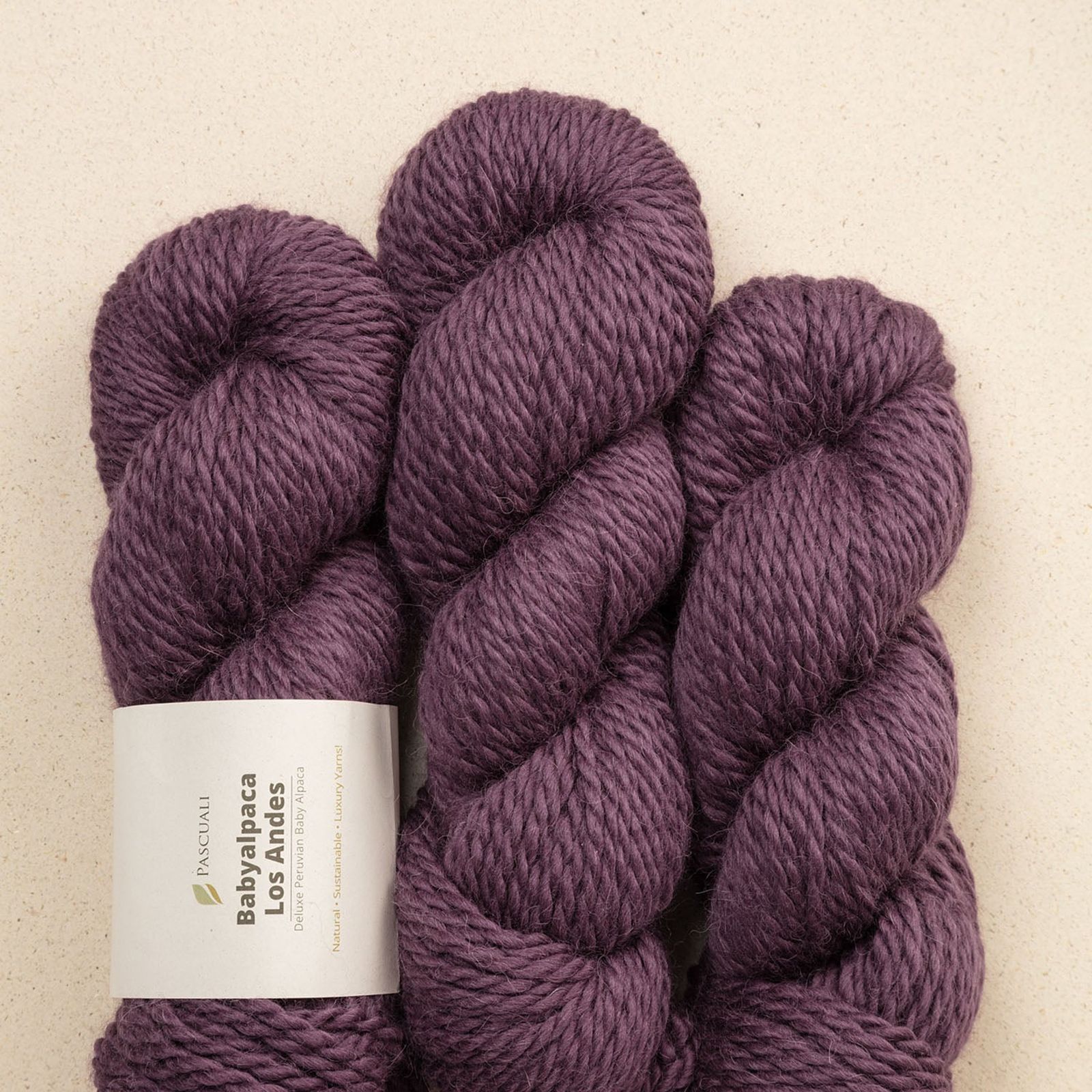 Babyalpaca Los Andes