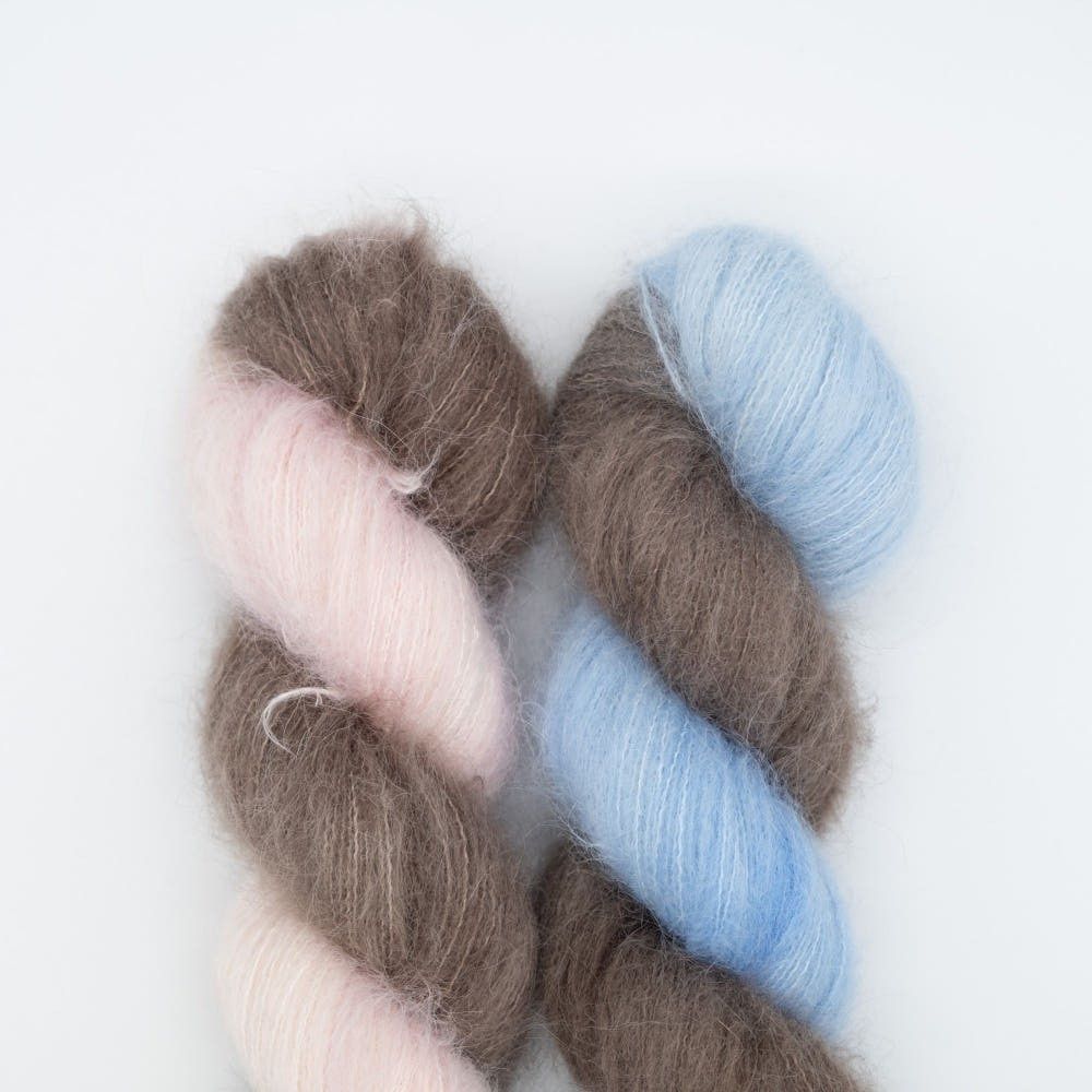 쇼콜라 Suri Alpaca